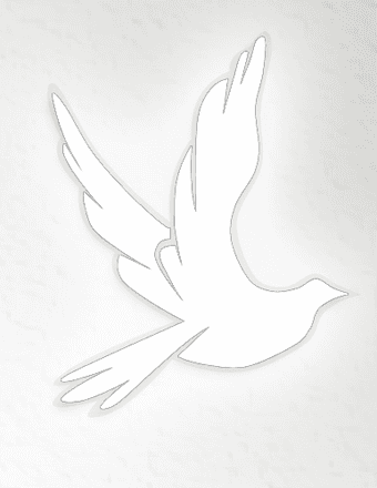 Jackie Ray Harris Obituary